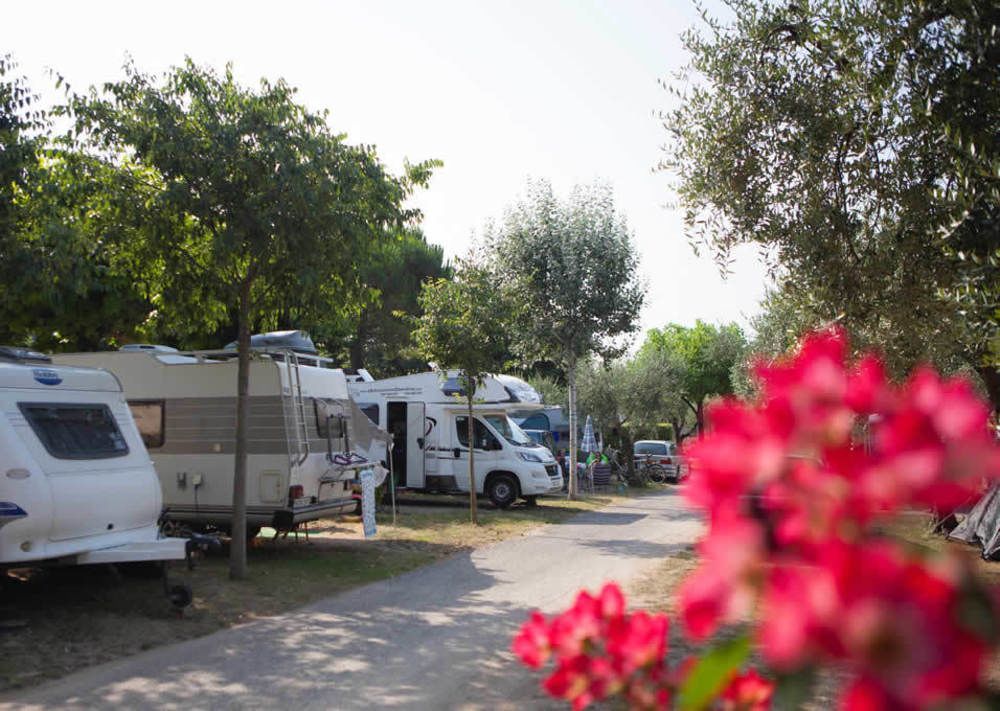 Camping Serenella باردولينو المظهر الخارجي الصورة