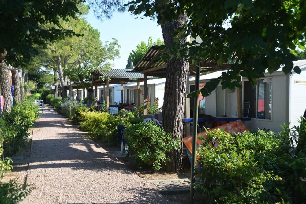 Camping Serenella باردولينو المظهر الخارجي الصورة