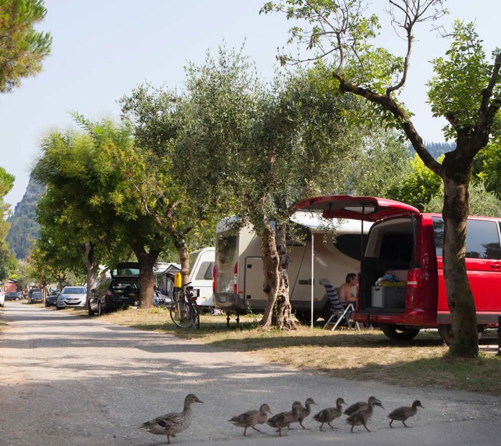 Camping Serenella باردولينو المظهر الخارجي الصورة